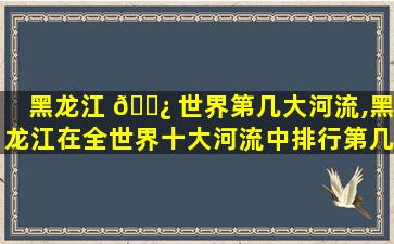 黑龙江 🌿 世界第几大河流,黑龙江在全世界十大河流中排行第几 🐛